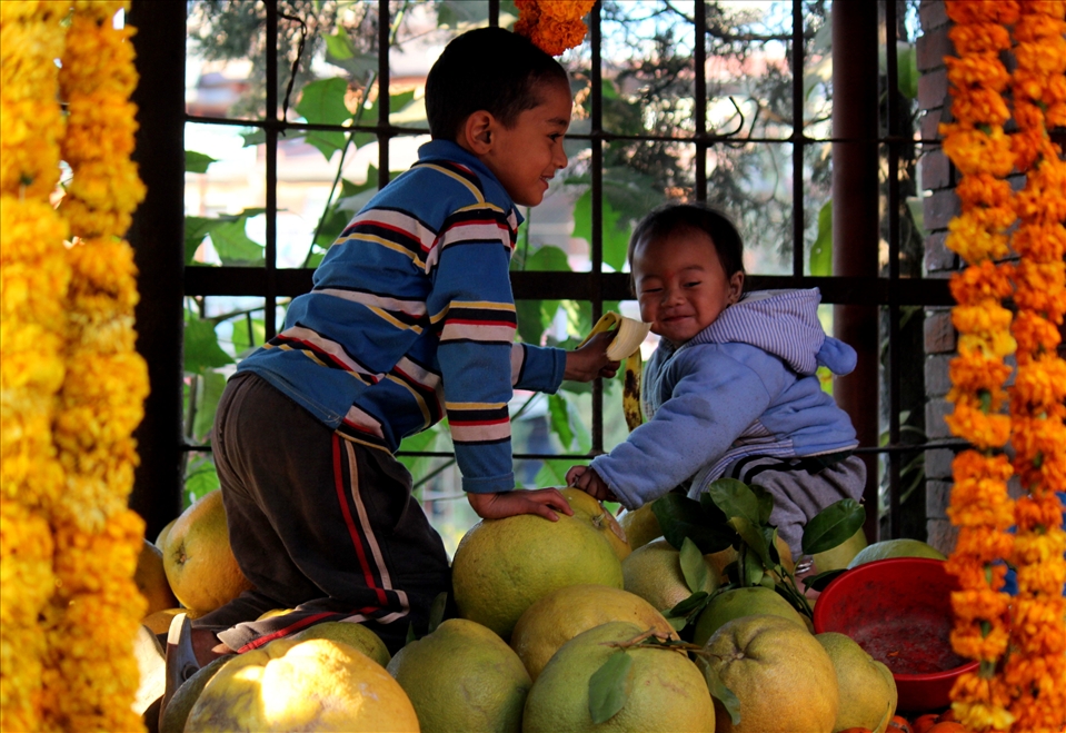 Two Brothers and a fruit shop
