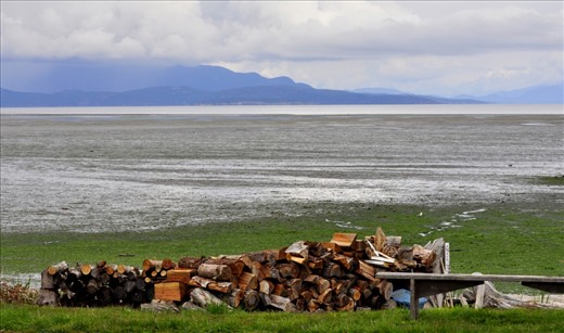 Standing at the shoreline of Qualicum, Vancouver Island Canada, staring at the horizon, my view pleasingly obstructed by mountains, I would oft' think of my home the Caribbean. The difference between the cultures and what my future might be in a place that is not my home.      