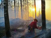 A British Columbia Forest Service smokejumper removes a hazardous tree as the day comes to an end.: by benjamin_louwerse, Views[607]