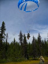Touching down amidst the muskeg and black spruce of Northern British Columbia. The parachutes used descend at approximately the same rate as jumping from atop a twelve foot ladder, or 20 feet per second. As such, dialing in the landing roll and landing in the right place is critical.: by benjamin_louwerse, Views[796]
