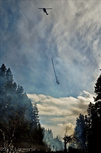 A Bell 212 flies past an old burn pile with an infested tree, en-route to the next pile. Helicopters are frequently used for these control operations due to the remote locations of the infestations. The pine beetle's effect on the environment has been suggested to potentially lead to increased soil erosion, higher water tables, increased wildfire risk due to dry, dead trees, as well as a significant reduction in the forests ability to store carbon.