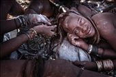 Once the daily chores are completed and the days temperature begins to soar, the women retreat back to the shade where their beauty salon continues. A Himba woman's hair is drawn into dreadlocks and encased in a thick ochre casing which adds to their beauty, but it is a laborious process that requires all hands to assist removing and replacing the delicate casing every 4 weeks or so.: by benmcrae, Views[1023]
