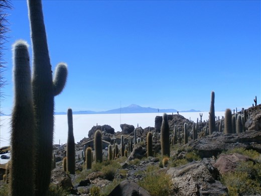 Fish Island, salt flats near Uyuni.