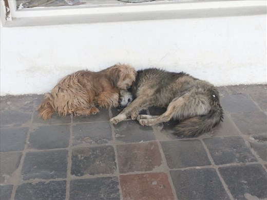 So beautiful. Cusco.