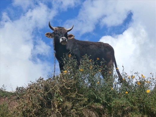 Like a Pink Floyd album cover. Near Olaytantumbo.