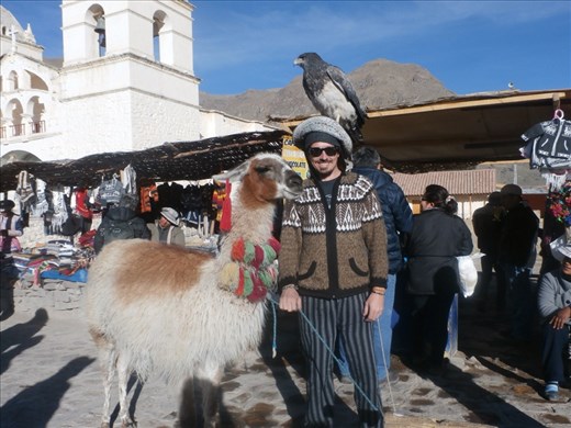A bit of touristy wank. Colca Canyon.