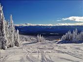 A beautiful bluebird day on the slopes at Big White. Perfect day for a shred.: by beren, Views[1166]