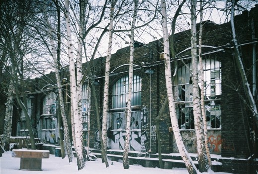 Nature defies the wall