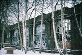 Nature defies the wall: by berlin-reoccupy, Views[247]