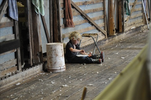 Little Boy in Shearing Shed