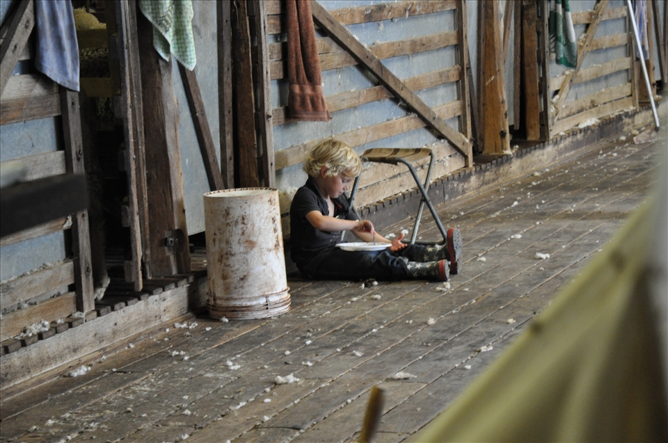 Little Boy in Shearing Shed