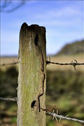 Old and New: by bernadette, Views[234]