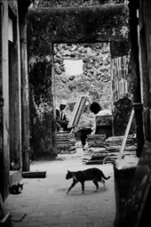This is Latif's father, a self-employed artist selling painted canvasses in a side street. He is a contented man, proud of his accomplishments, proud of his family.: by bernadettemccabe, Views[289]