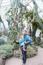 im Kakteenhaus: by bernardmarlenlilly, Views[731]