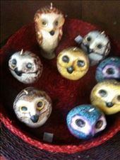 by berniedee, Views[111]