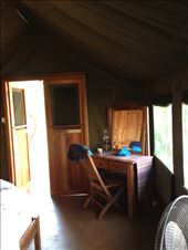 by berniedee, Views[134]