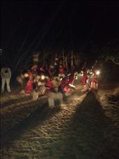 by berniedee, Views[215]