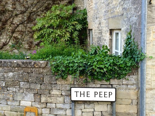 Still not sure what a 'peep' is but I like it.