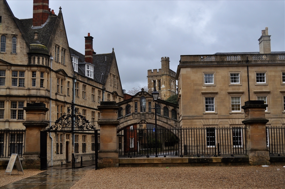 Brun: Oxford 