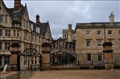 Brun: Oxford : by bettinariddle, Views[228]