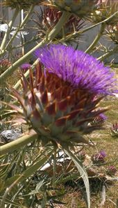 by bevandbruno, Views[219]