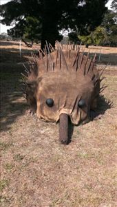 Echidna hay bale sculpture: by bevandbruno, Views[413]
