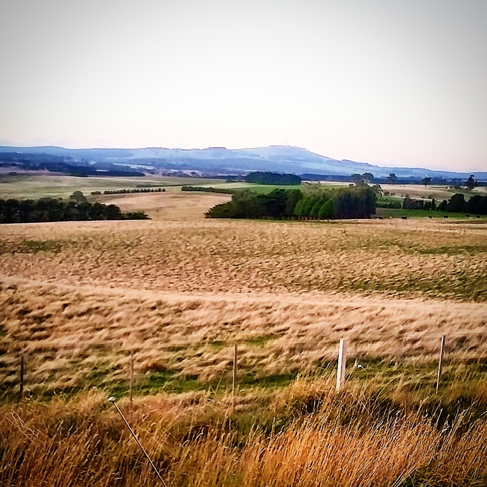 the inspiration for the dish