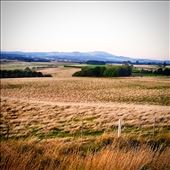 the inspiration for the dish: by bevanvahland, Views[275]