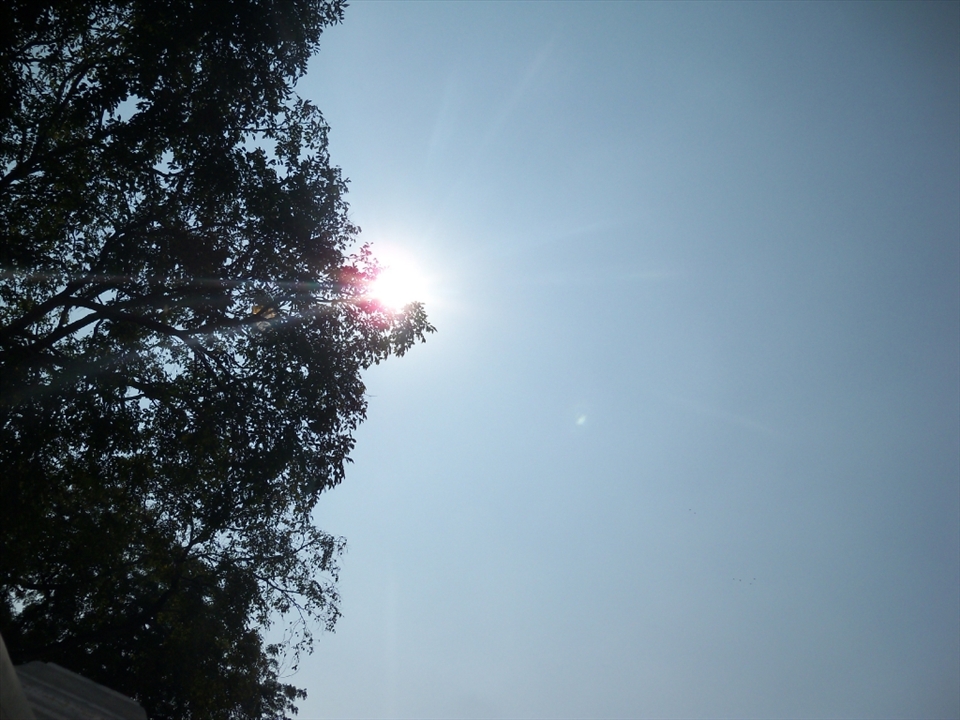 a simple art, blending the shade of tree and rays of sun, creating a layer a world apart with the sun in the middle, on the right hand sun is powerful he is giving heat- a scorching heat, while on the left hand side tree is giving shade and there sun is powerless.