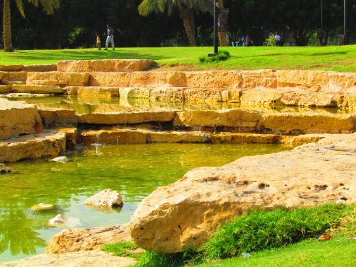 On the same day but a few miles away from the desert scene and lone bird, I came to this place in Riyadh. What a stark contrast! Looks like worlds away!