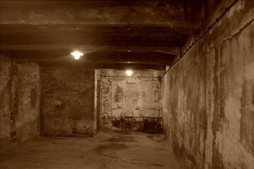 1.1 million jews, homosexuals, gypsies and asocials were murdered in gas chambers like this one between the years of 1940-1945.