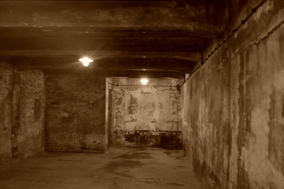1.1 million jews, homosexuals, gypsies and asocials were murdered in gas chambers like this one between the years of 1940-1945.