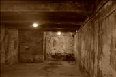 1.1 million jews, homosexuals, gypsies and asocials were murdered in gas chambers like this one between the years of 1940-1945.: by bgraves, Views[1097]