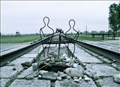 Prisoners were sent to Auschwitz by rail before a Nazi 'doctor' assessed every person as to whether they were fit to work or not. Those deemed unfit were never told they faced death.: by bgraves, Views[1015]