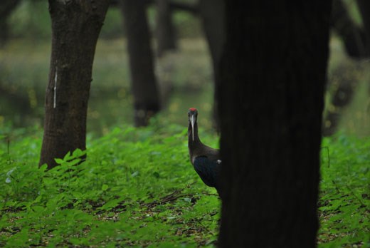 And remember, you never know when somebody might be watching you.