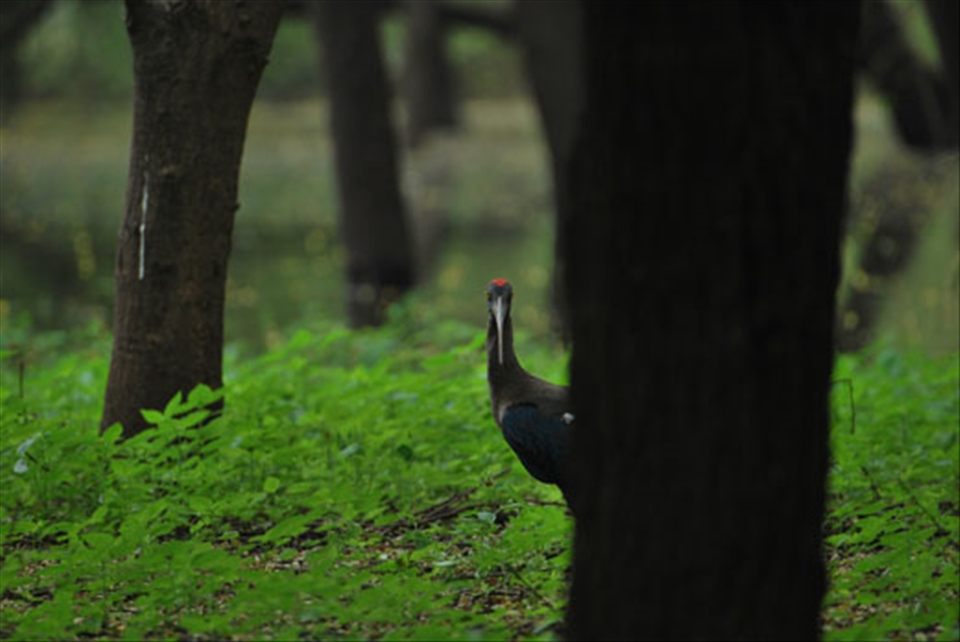 And remember, you never know when somebody might be watching you.