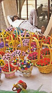 And this man loved sleep :) : by bhavnabura, Views[201]