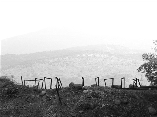 Tel Dan, Northern Israel- a war torn land that proves it's strength by simply being