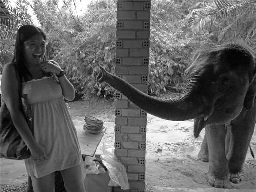Manifestation of happiness, when a human and giant mammal make fond for each other.