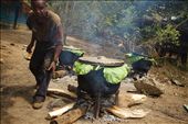 With more than 250 mouths to feed at the sanctuary, food preparation is a vital and constant task. Here Romaine, one of the gorilla keepers, prepares a favourite - sweet potatoes - for the animals.: by bickers, Views[1151]