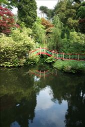 My favourite part of the gardens; an elaborate bridge which forms part of 'China' hidden from view and the rest of the garden.: by biddulph, Views[177]