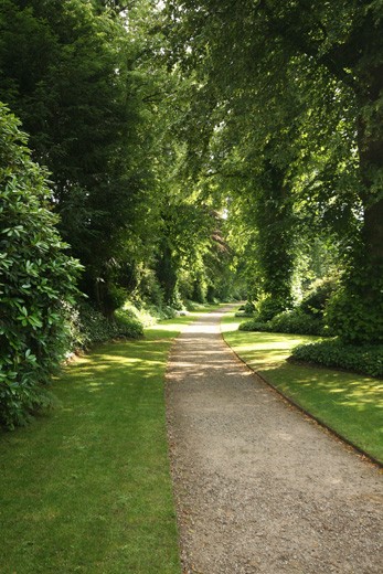 The Lime Avenue previously the route between Biddulph and Congleton. In the sunny each of the leaves looks like a little lime hanging on the branches; the colour is intense. A wonderful walk to see the resident wildlife.