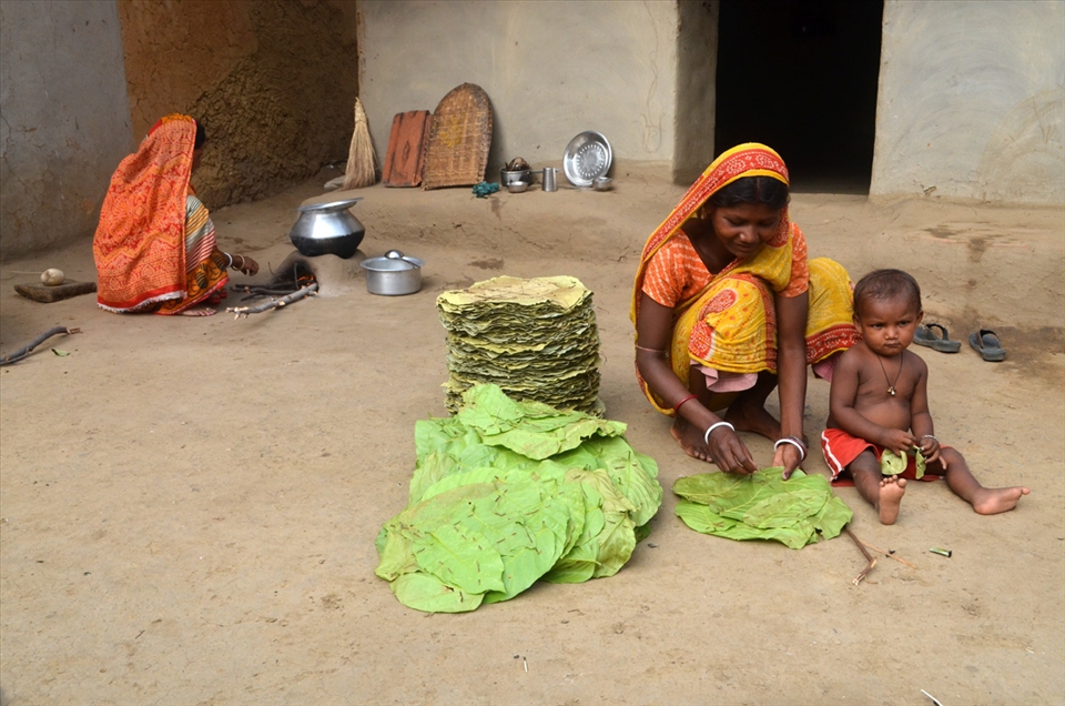 One of the main earning of the local people..... 