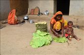 One of the main earning of the local people..... : by biharinath, Views[279]