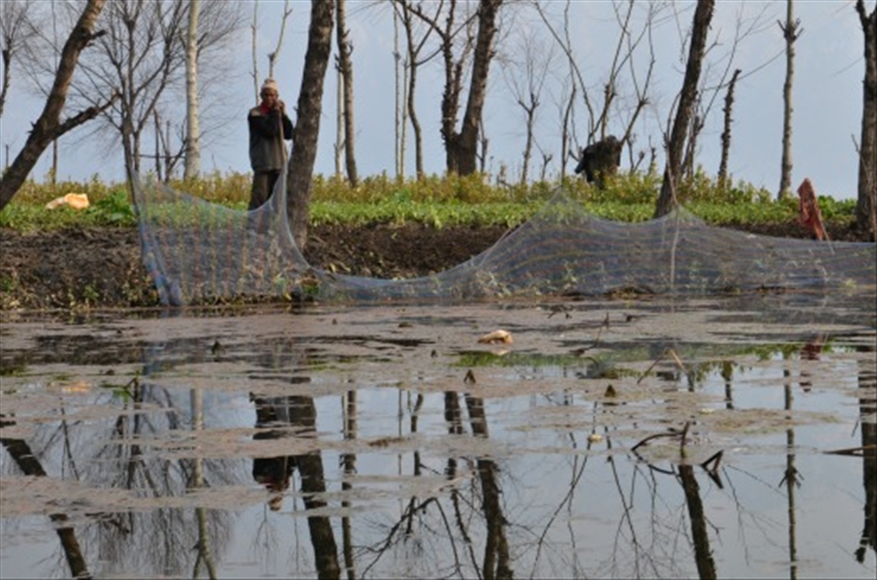 Floating farms- where food items, needed daily are farmed literally over water.