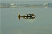 The Majestic Dal lake- where an unique society  flourishes over its water.: by bikramimages, Views[575]