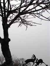 by biljana, Views[171]