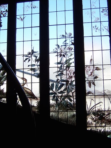 Paris -- close-up view from from door of apartment of painted windows