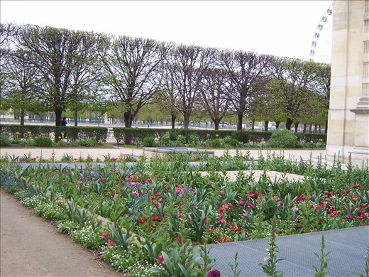 Paris -- Jardin des Tuileries flower garden