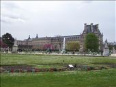 Paris -- Jardin des Tuileies looking at Denon wing of the Louvre: by billh, Views[239]